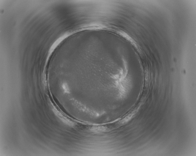 X0000078841466200611271310