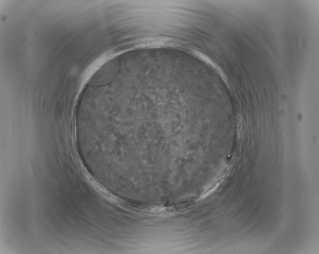 X0000078841467200611271310