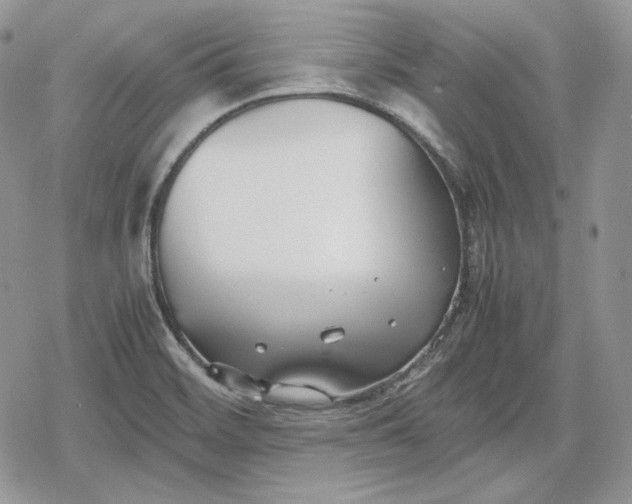 X0000078841468200611271310