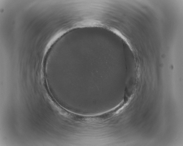 X0000078841469200611271310