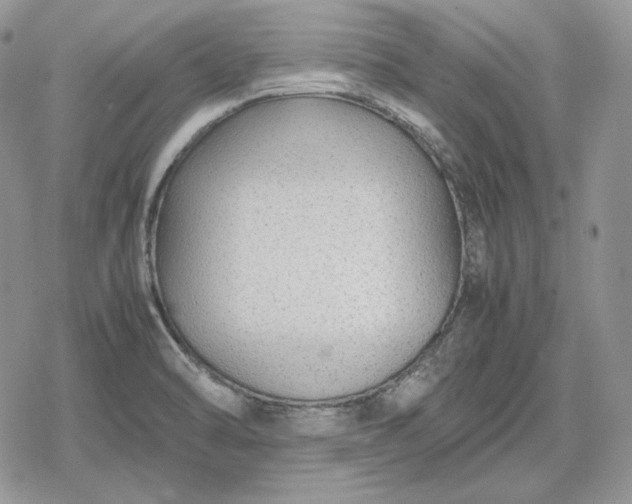 X0000078841470200611271310