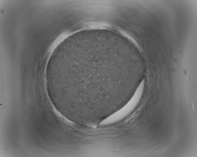 X0000078841471200611271310