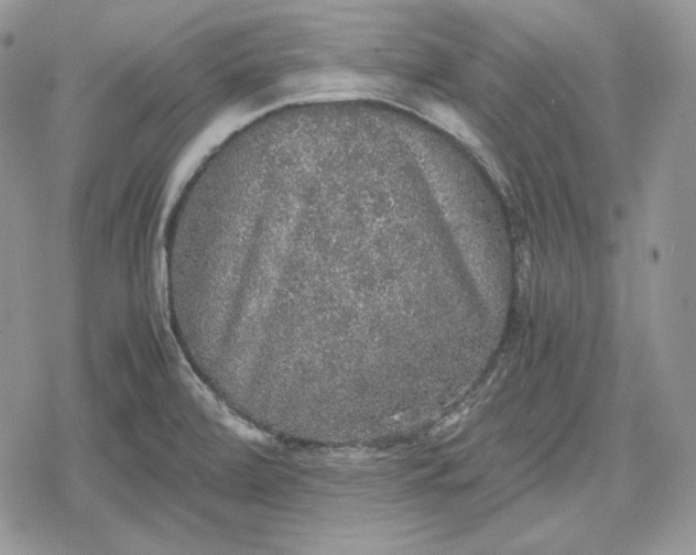 X0000078841472200611271310