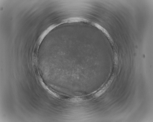 X0000078841473200611271310