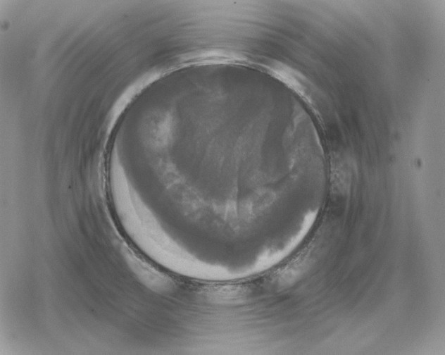 X0000078841474200611271310