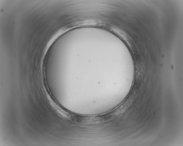 X0000078841475200611271309