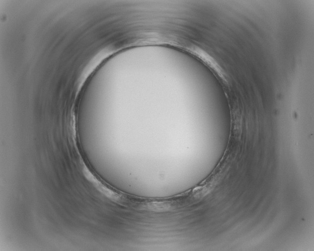 X0000078841476200611271309