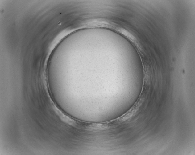 X0000078841478200611271309