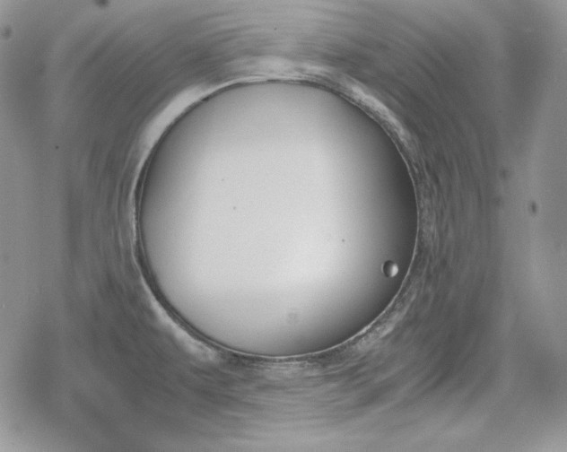 X0000078841479200611271309