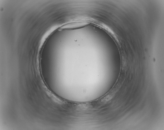 X0000078841480200611271309