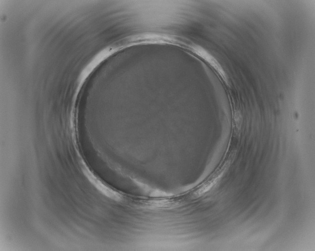 X0000078841482200611271309