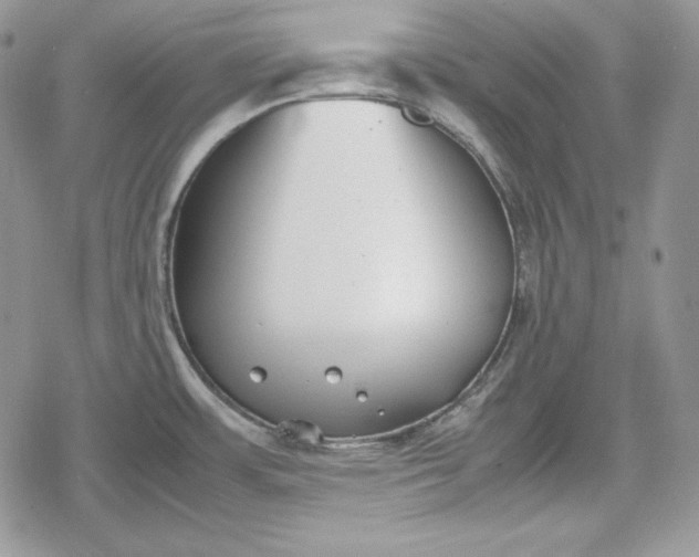 X0000078841483200611271309