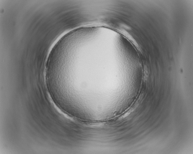 X0000078841484200611271309