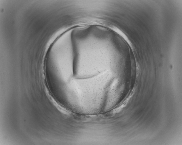 X0000078841485200611271309