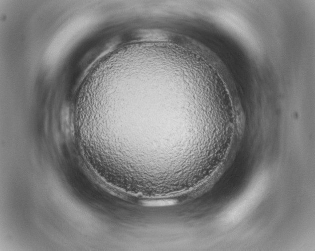 X0000078841487200611271309