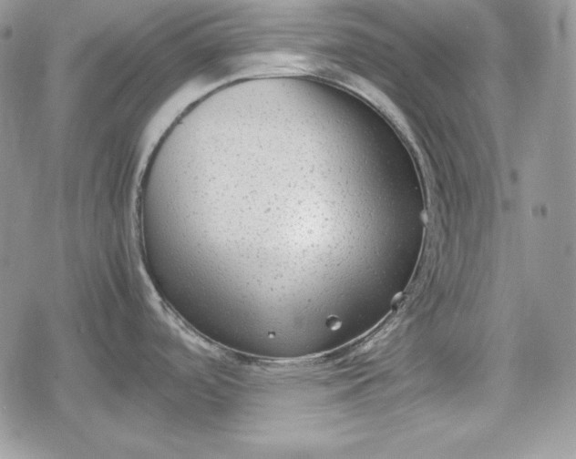 X0000078841488200611271309