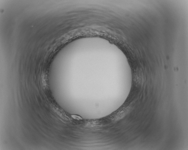 X0000078841490200611271309