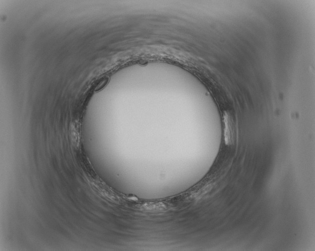 X0000078841491200611271309