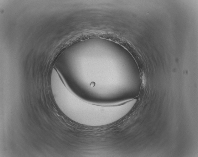 X0000078841492200611271309