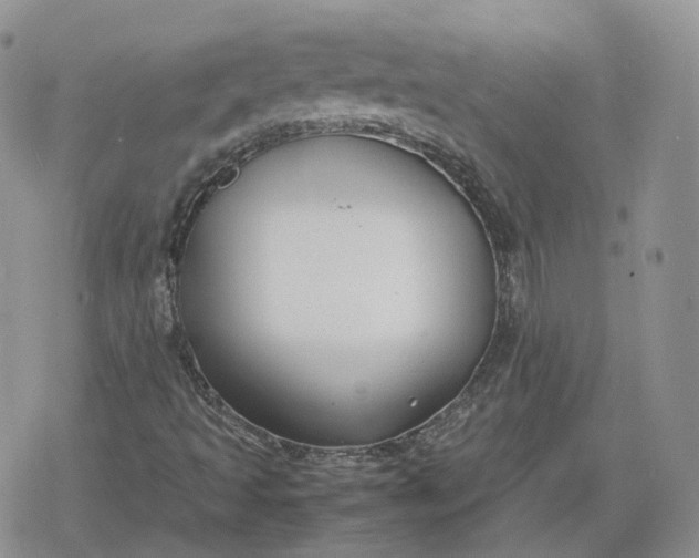 X0000078841493200611271309