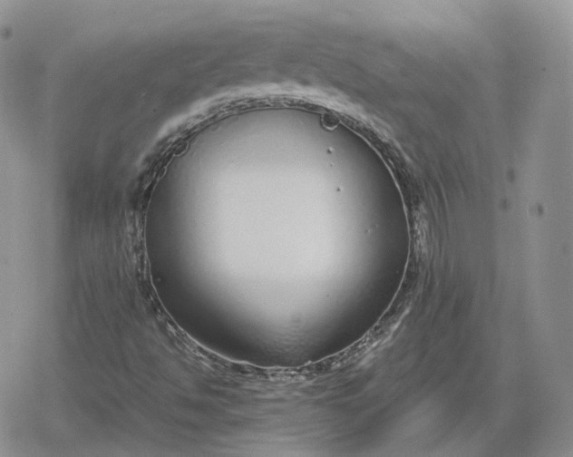 X0000078841494200611271309