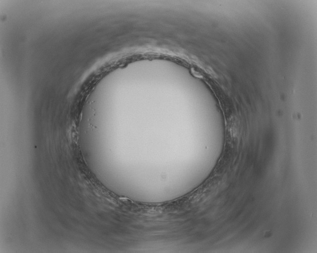 X0000078841495200611271309