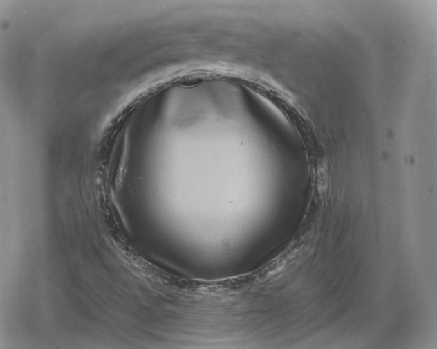 X0000078841496200611271309