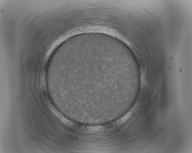 X0000078841498200611271309