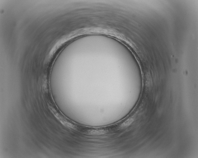 X0000078841499200611271309