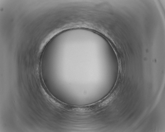 X0000078841500200611271309