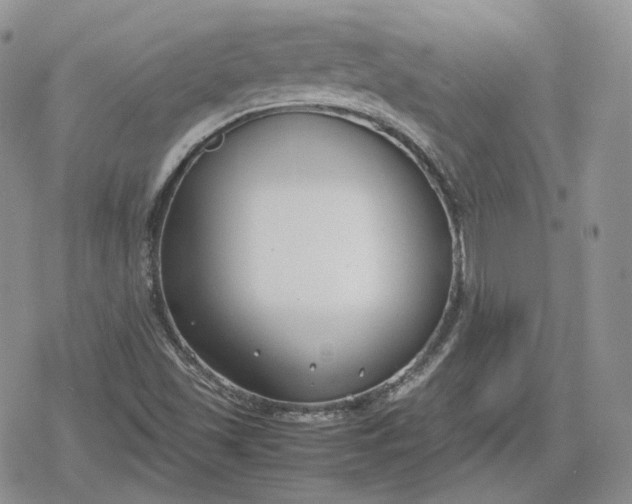 X0000078841501200611271309