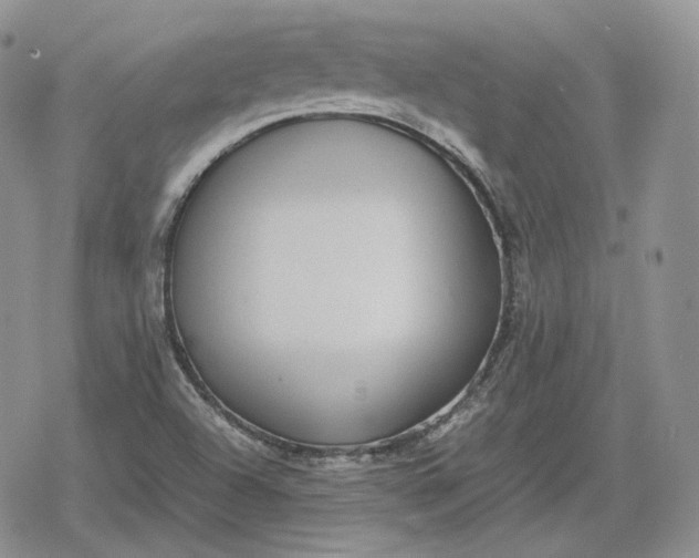 X0000078841504200611271309