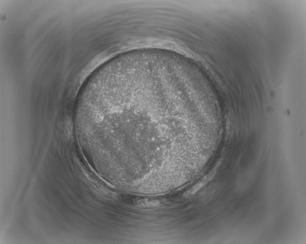 X0000078841505200611271309