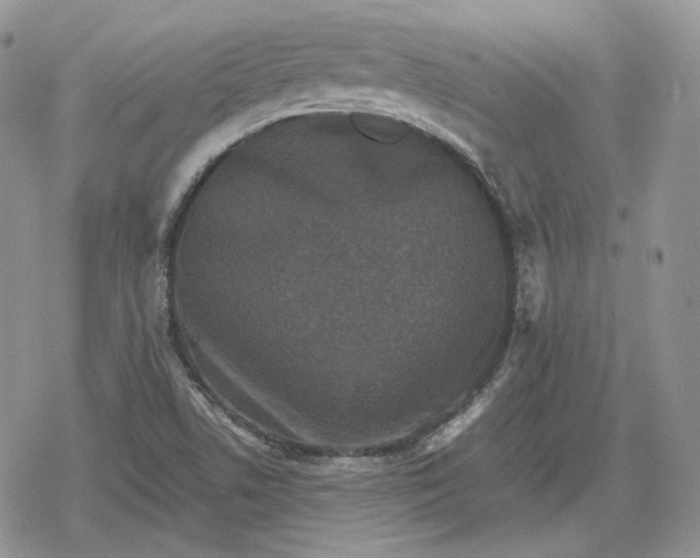 X0000078841506200611271309