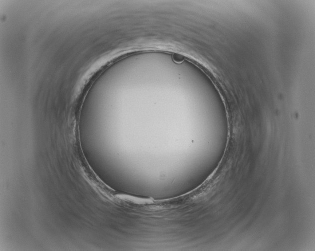 X0000078841507200611271309