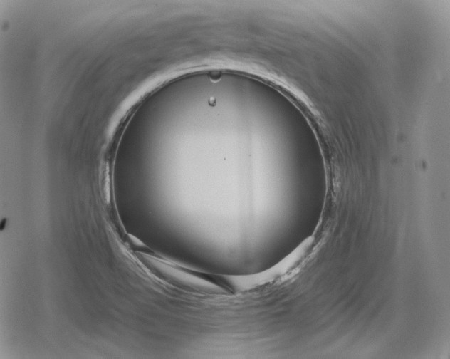 X0000078841510200611271309