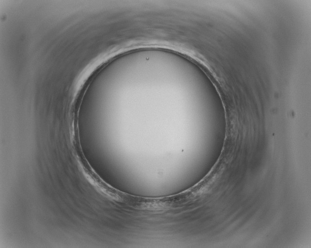 X0000078841511200611271309