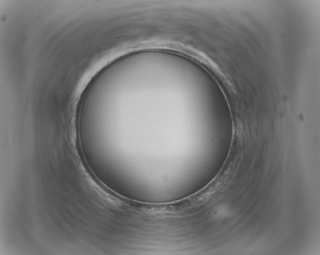 X0000078841512200611271309