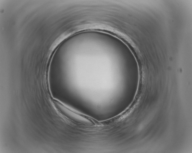 X0000078841513200611271309