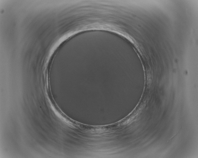 X0000078841515200611271309