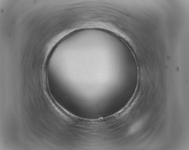 X0000078841517200611271309