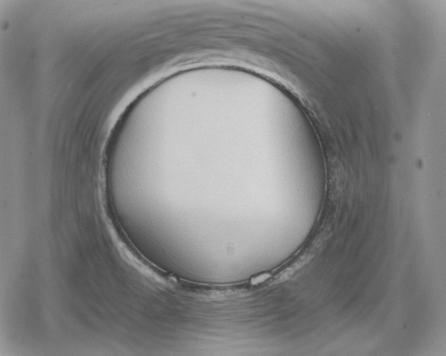 X0000078841518200611271309