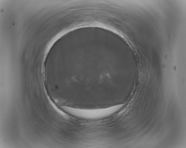 X0000078841519200611271309