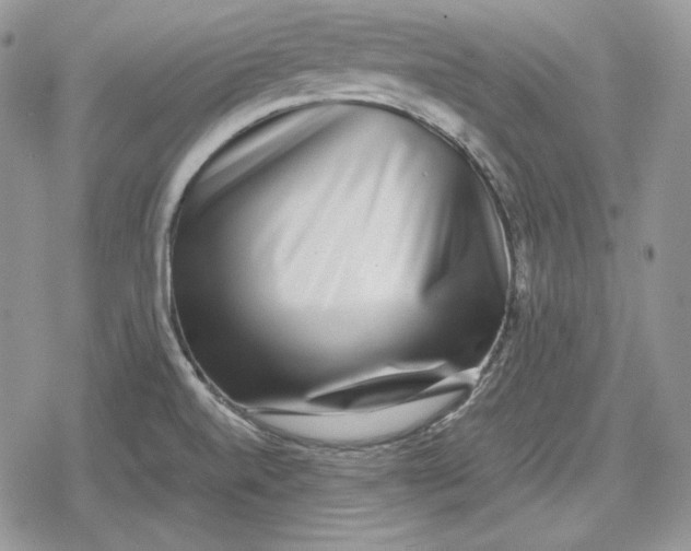 X0000078841520200611271309