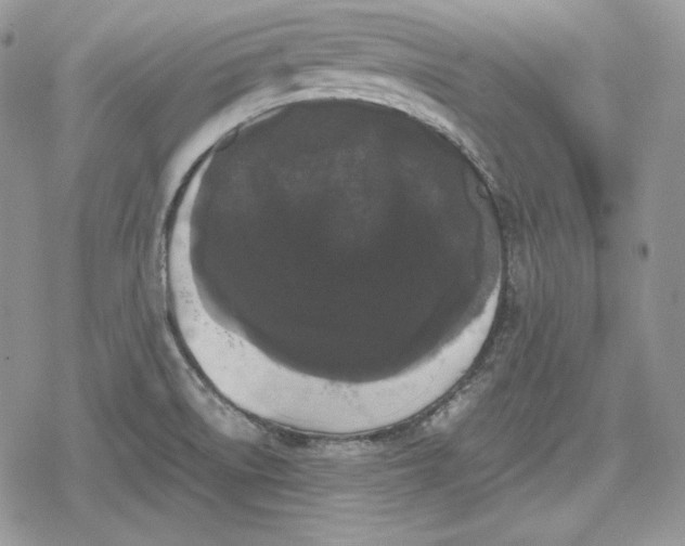 X0000078841522200611271309