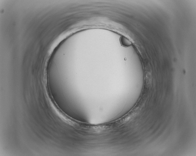 X0000078841523200611271309