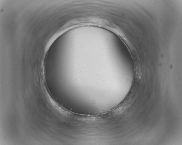 X0000078841524200611271309