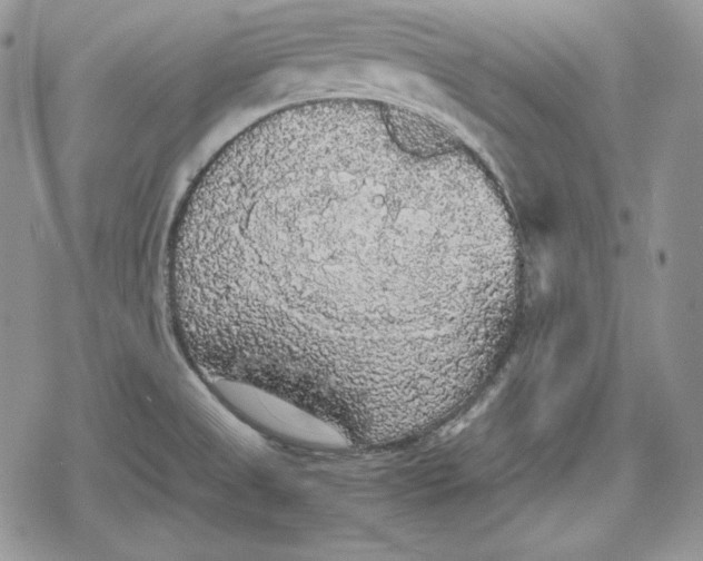 X0000078841525200611271309