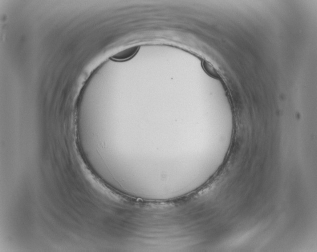 X0000078841526200611271309