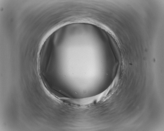 X0000078841528200611271309